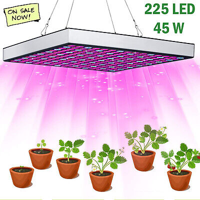 225 LED Grow Light 2000W Lamp For Plants Full Spectrum Phyto Lamp