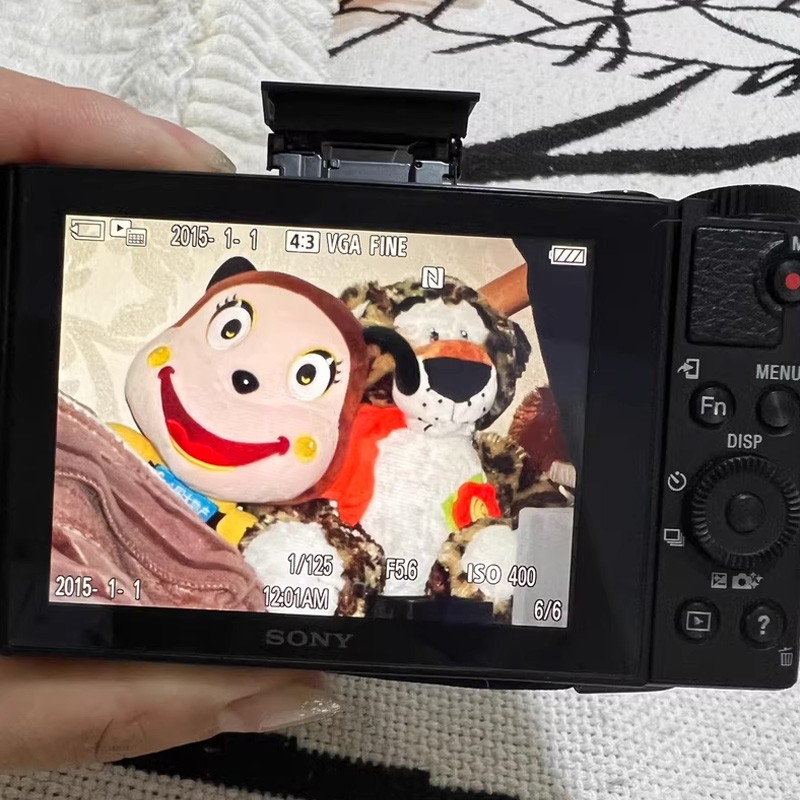 SONY Cyber-shot DSC-WX500 18.2MP Compact Camera Flip LCD 30x Zoom