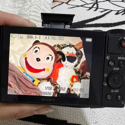 SONY Cyber-shot DSC-WX500 18.2MP Compact Camera Flip LCD 30x Zoom