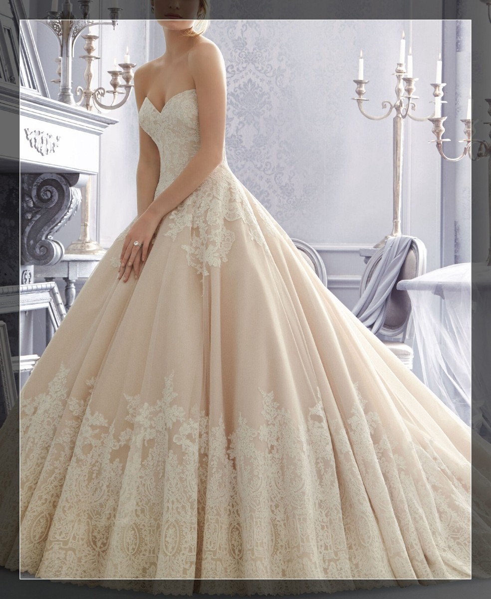 Glamorous Lace Wedding Dress Ball Gown Custom made 2-28W Strapless Blush  Bridal | eBay