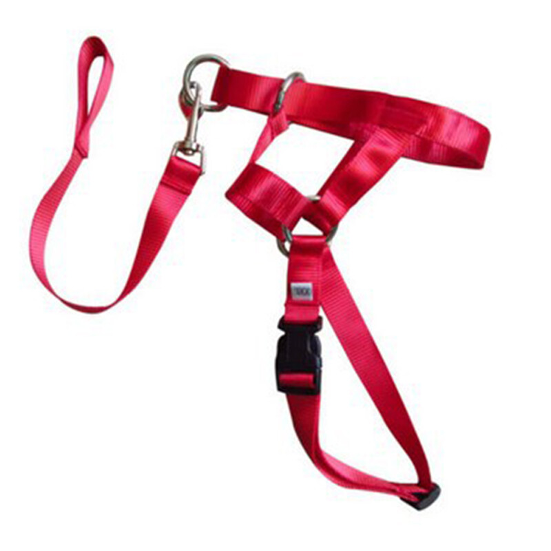 Gentle Halter Leash Gentle Leader Head Collar No Pull for Training Dog