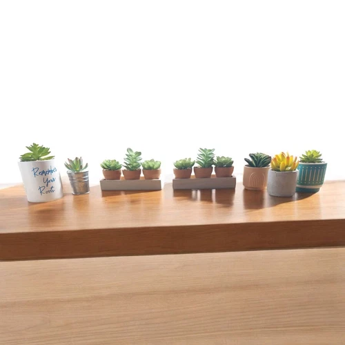 Faux Succulent Potted Plant - Picture 2 of 2
