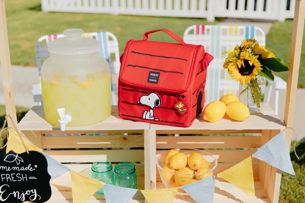 Snoopy's House 16-Can Lunch Pail | eBay