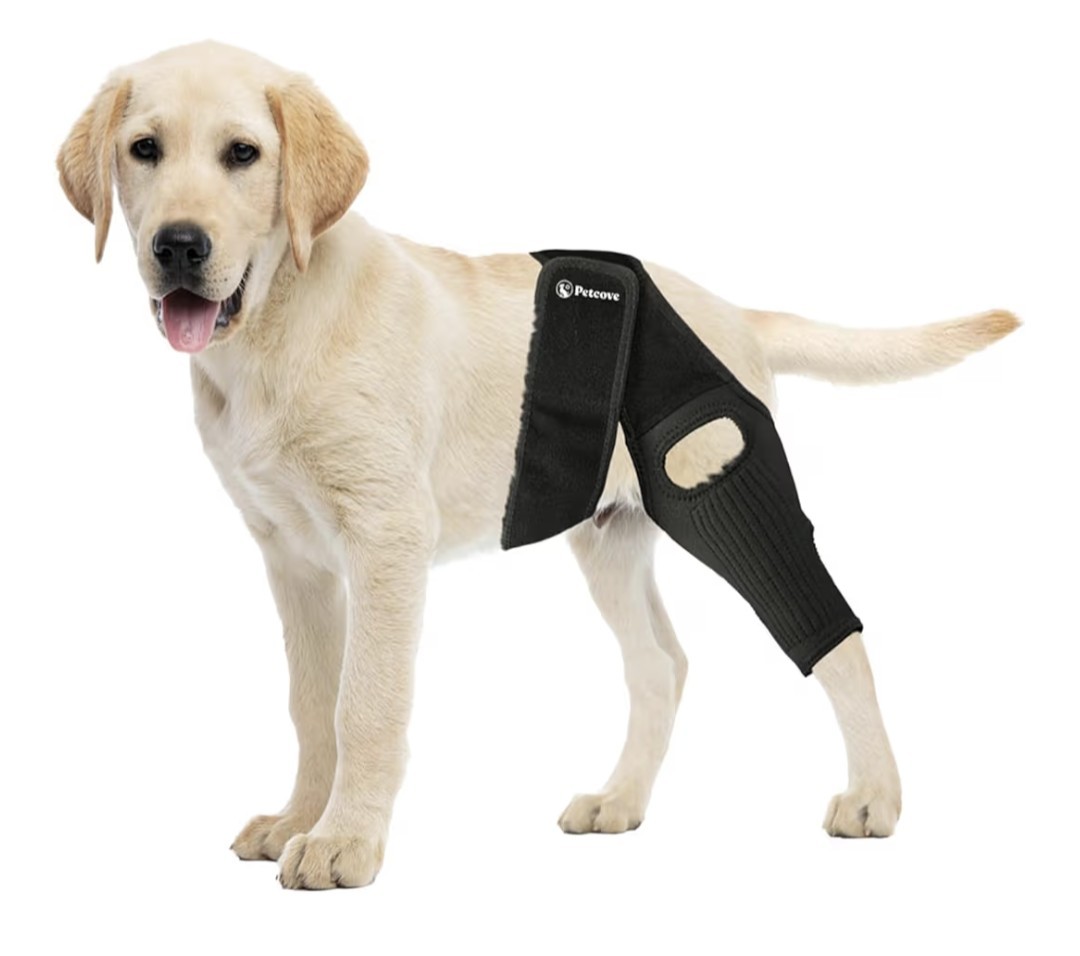 PetCove  Dog Knee Brace for Torn Acl Hind Leg (Open Box) Small 