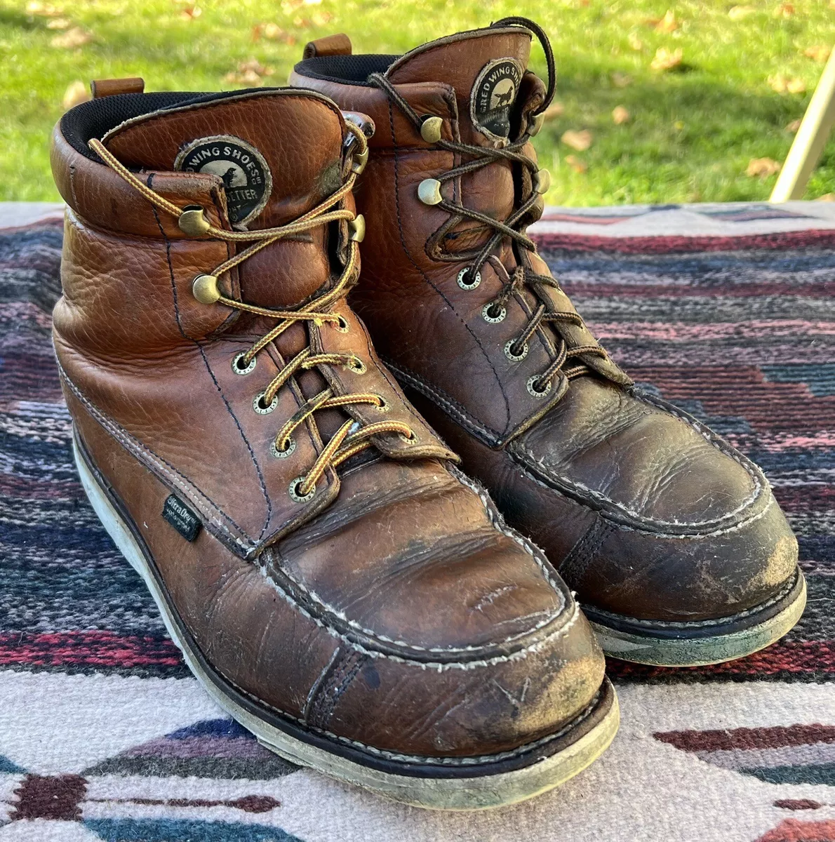 Irish setter 838 hot sale