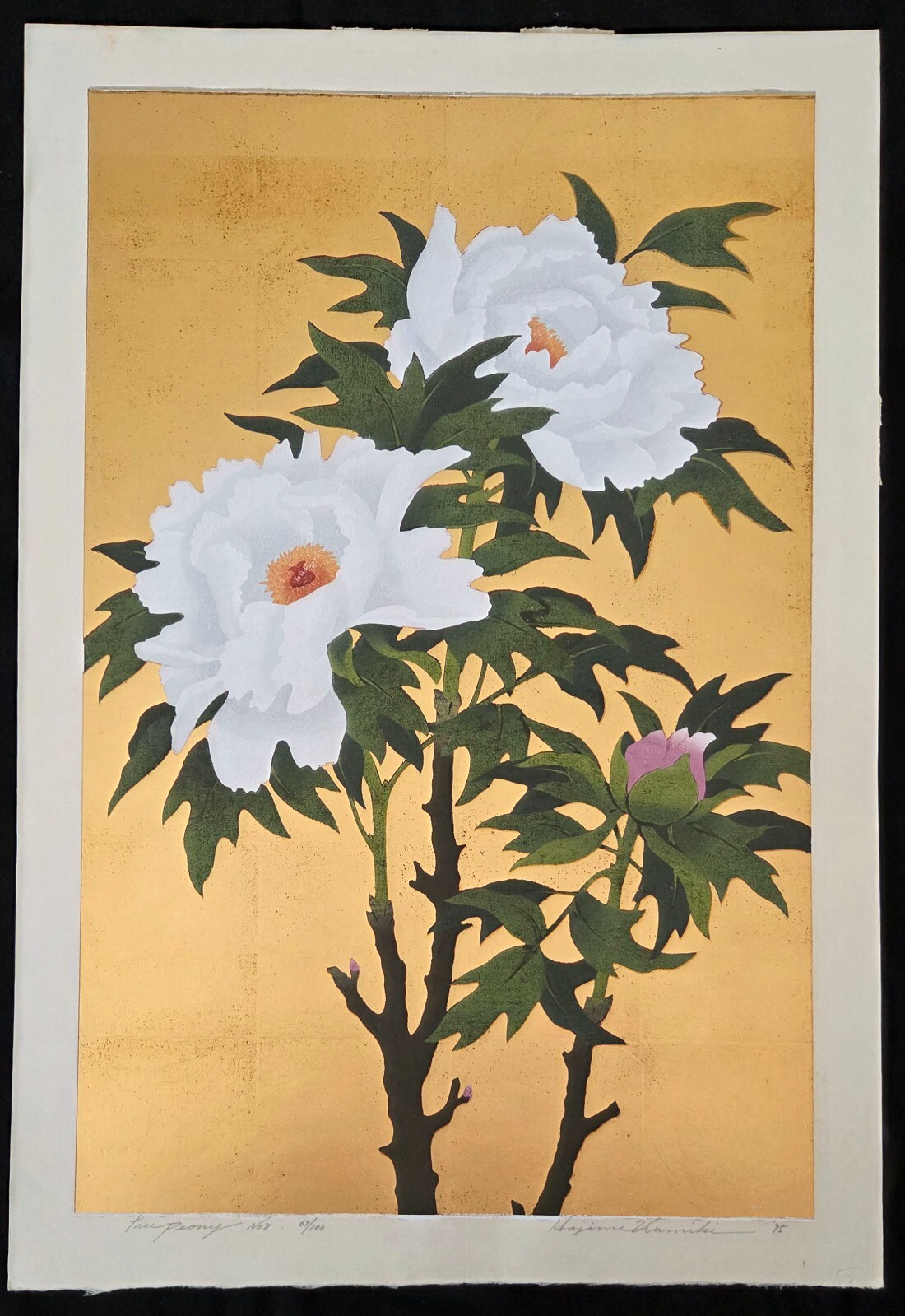 Foto 2 di 6