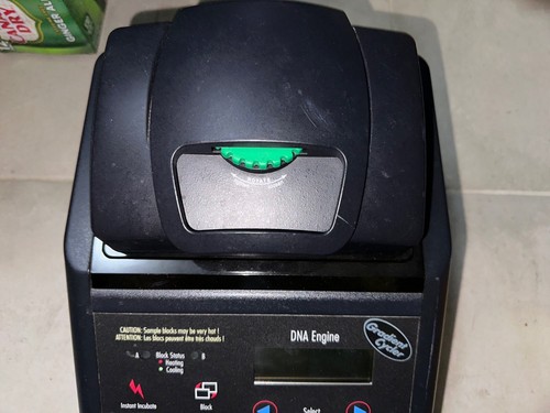 Bloque alfa de ADN degradado BIO-RAD MJ RESEARCH PTC-200 Peltier Thermal Cycler - Imagen 5 de 11