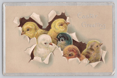Embossed Easter Postcard Chicks Hatching   Davidson Bros Germany 1910s