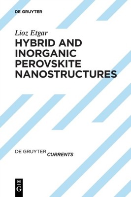 Hybrid and Inorganic Perovskite Nanostructures by Lioz Etgar PAPERBACK