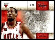 2009-10 Panini Studio John Salmons Chicago Bulls #71