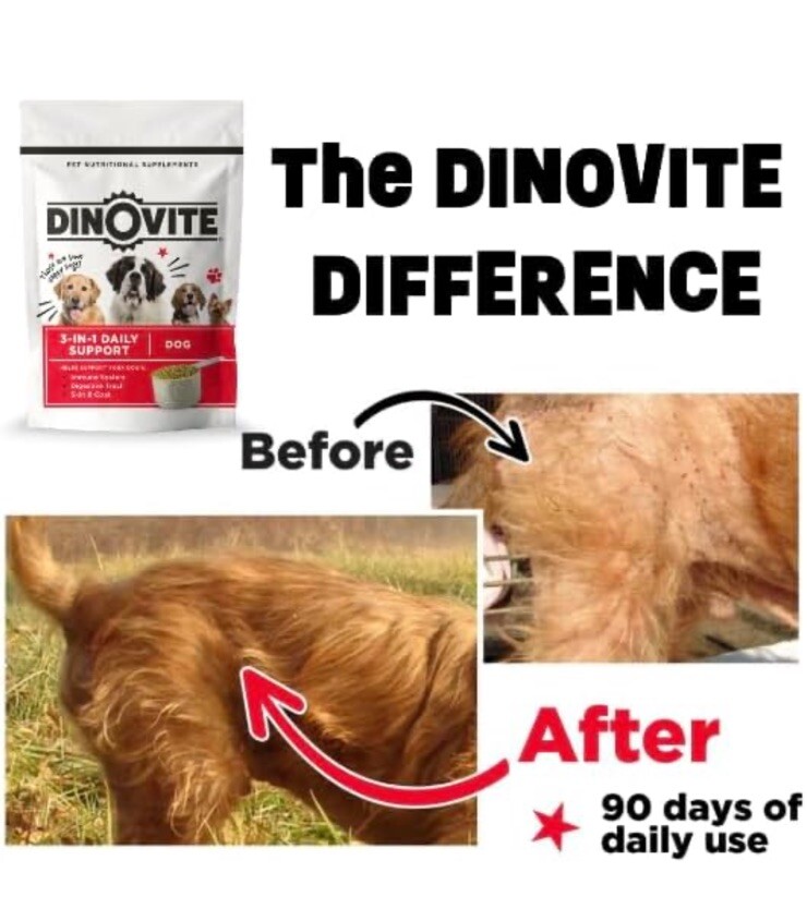 30 Day Supply, Large Dogs, Dinovite Probiotic Supplement for Dogs 45