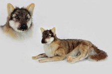 Hansa  Wolf Lying   Plush Soft Toy   6762   Brand New With Tags  UK Seller