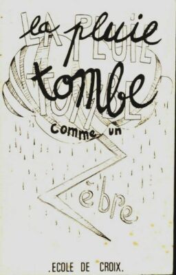 La pluie tombe comme un zèbre - Collectif - V317066