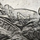 1878-S $1 Morgan Dollar - WOW! VAM-19B Die Gouge - BU Rainbow Toning - B3224