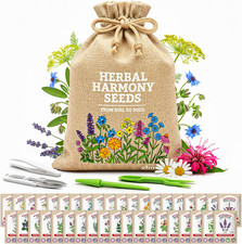 Medicinal Herb Seeds Variety Pack 39 Heirloom Non-GMO Apothecary Garden Kit USA