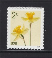 US Scott  5898 2 cent Daffodils MNH Single from Pane 2024