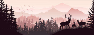 Wandbild: Horizontales Banner. Silhouette von Hirschen, Rehkitz, Kitz, die [...]