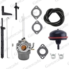 Carburetor Carb for Briggs & Stratton NIKI 793784 Snowblower