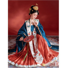 Lot Chinese Wedding Women Embroidered Hanfu Big Sleeves Robe Horse Face Skirt