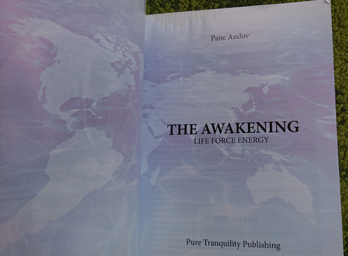The Awakening: Life Force Energy by Pane Andov. - Bild 6 von 23