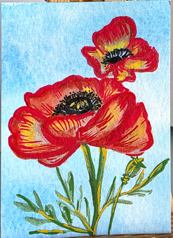 ACEO Original Red Poppy Flower Blue Sky Miniature  Art Signed 2.5x3.5