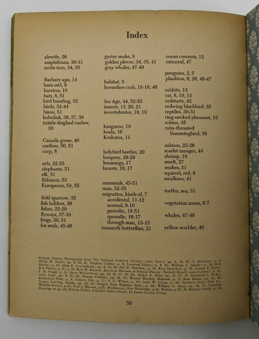 Picture 7 of 8