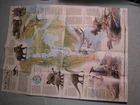 NORTH AMERICA IN THE AGE OF DINOSAURS MAP National Geographic  January 1993