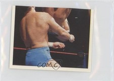 1997 Panini WWF Superstars Album Stickers The Rock Rocky Maivia 124 ne4