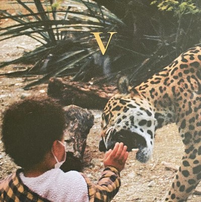 チェコ2LP Unknown Mortal Orchestra V JAG422 Jagjaguwar /00520 s-l400.jpg