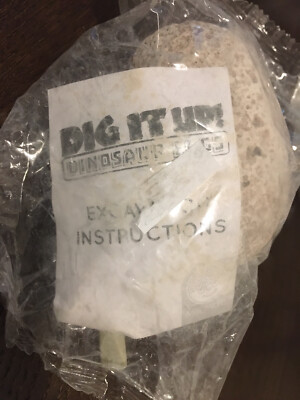 Dinosaur Egg Excavation Kit Dig It Up!