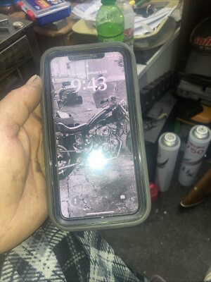 iPhone 11 With Tic tok Already On It