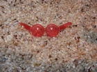 1971 VINTAGE FRANCIE ZIG ZAG ZOOM RED ROUND GLASSES #3445