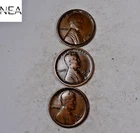 1916+1916-D+1916-S Lincoln Wheat Penny Cent Set/Lot ~ Fine/VF ~ ZWL44
