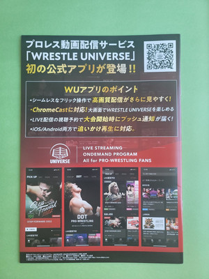 Tokyo Joshi Pro Wreslting Official Program Volume 17 Suzume Arisu