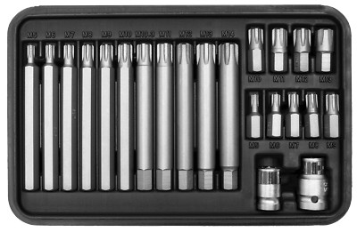 SW-Stahl 22 Teilig Bit Sortiment 3/8'' RB- Profil M 5- 14 Lang Chrom für VAG PKW