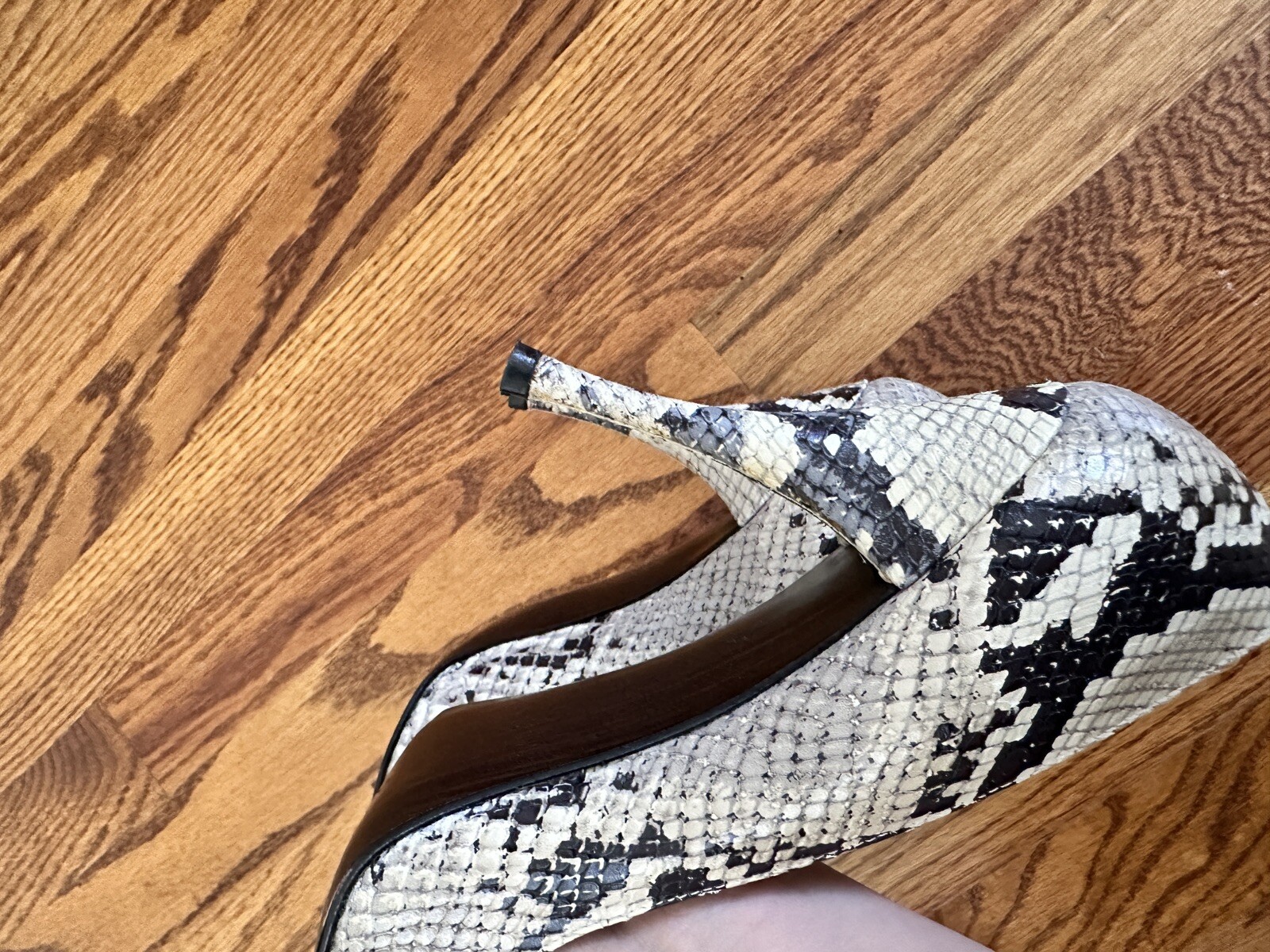 Stuart Weitzman 'Iris' Heels Pumps 7.5  Python Sn… - image 5