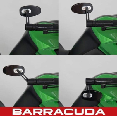 Barracuda SKIN-R Paar Lenkerendenspiegel