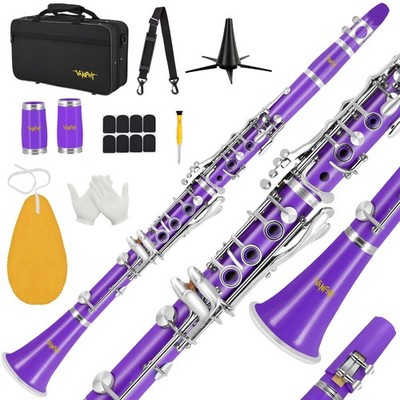 VANPHY Bb Clarinet Purple Beginner Set