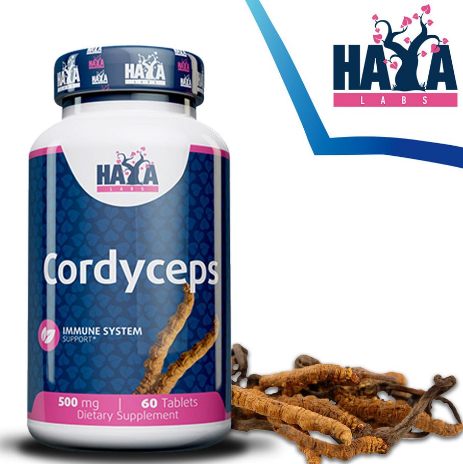 Cordyceps, Mushroom Extract 8:1 60 Tablets Energy & Immune Support