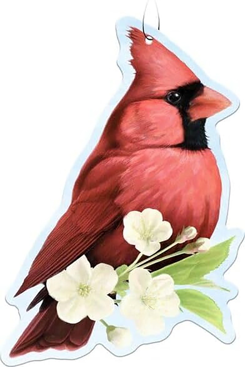 Автомобильный освежитель воздуха Spoontiques Cardinal Auto 3 упаковки 2590₽