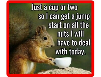 Funny Squirrel Jump Start Refrigerator / Tool Box / File Cabinet / Magnet 