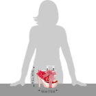 Bild 10 von 10