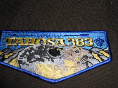 TAHOSA 383 s33 Flap   OAE