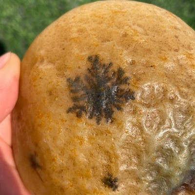 413g Natural Dendritic Agate Crystal Mineral Rough Specimen Healing