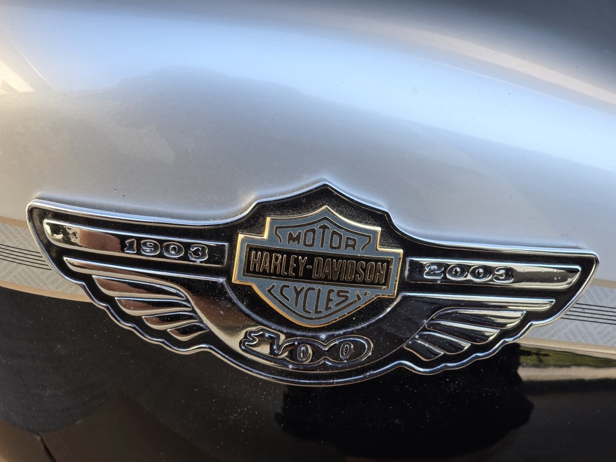 HARLEY DAVIDSON 2003 Sportster 100th Anniversary OEM Motorcycle