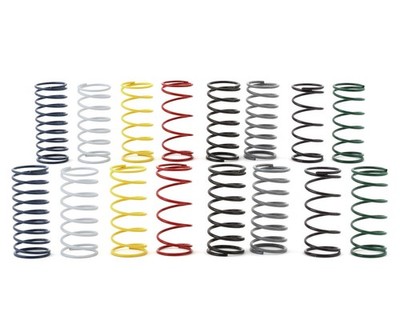 Custom Works Big Bore Shock Spring Set (8) [CSW1815]