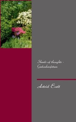Evelt - Shreds of thoughts - Gedankenfetzen - New paperback or softbac - X555z