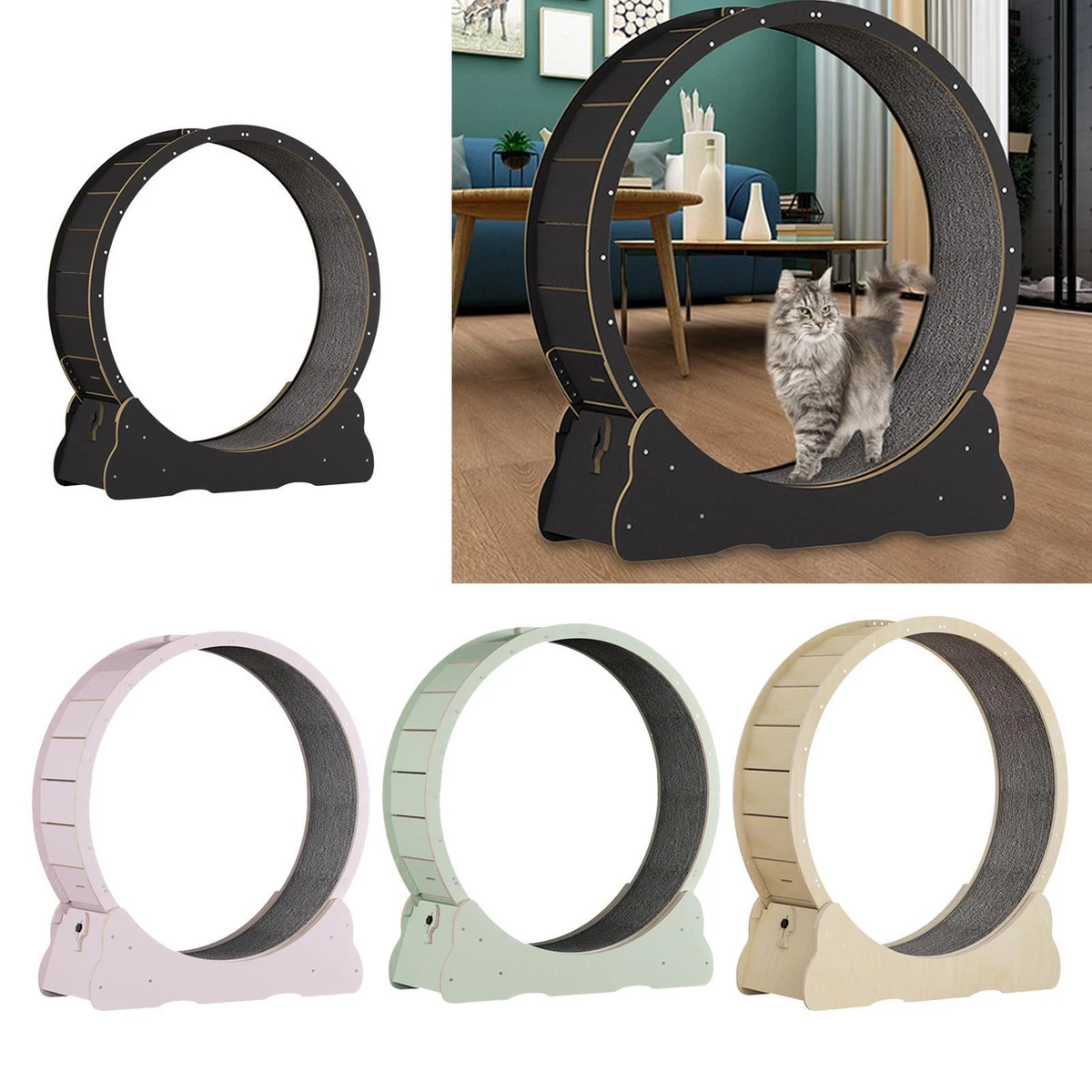 Cat sales exercise wheel