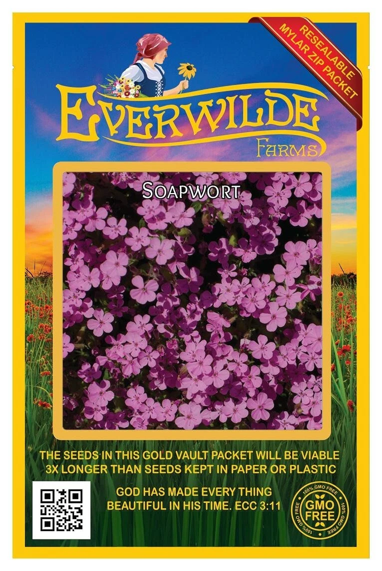 Soapwort Wildflower Seeds - Thumbnail 2
