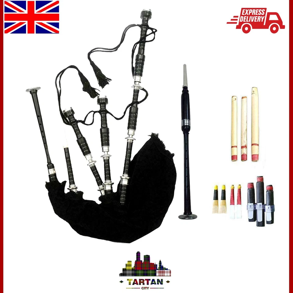 TARTANCITY TC Highland Scottish Bagpipe Rosewood Silver Mounts free case